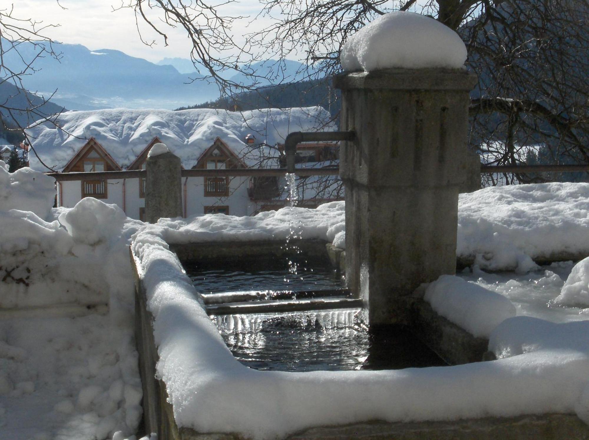Bed & Breakfast Larix *