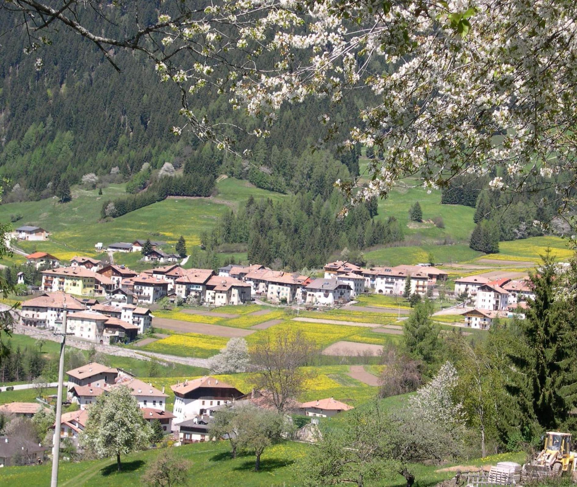 Larix Bed & Breakfast *